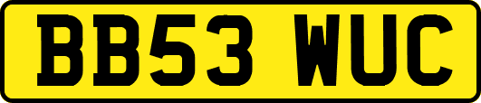 BB53WUC