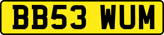 BB53WUM