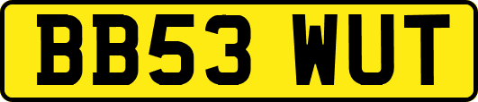 BB53WUT