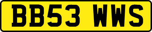 BB53WWS