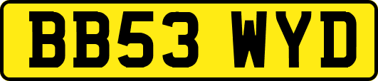 BB53WYD