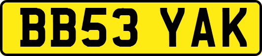 BB53YAK