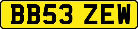 BB53ZEW