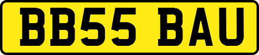 BB55BAU