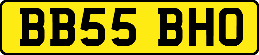 BB55BHO