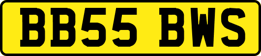 BB55BWS
