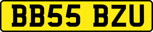 BB55BZU