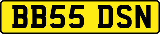 BB55DSN