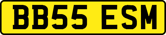 BB55ESM