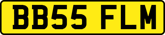 BB55FLM