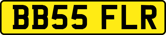 BB55FLR