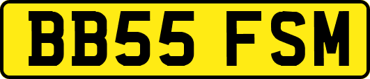 BB55FSM