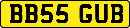 BB55GUB