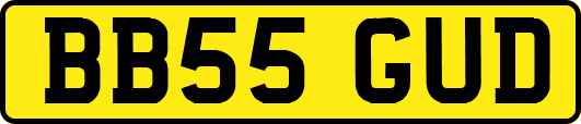 BB55GUD