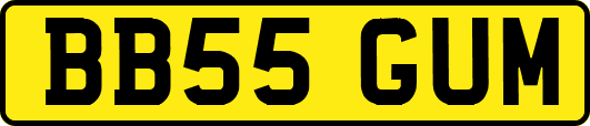BB55GUM