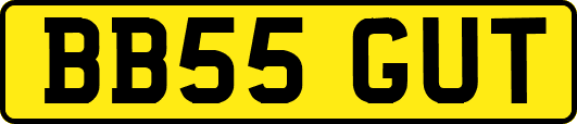 BB55GUT