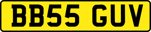 BB55GUV