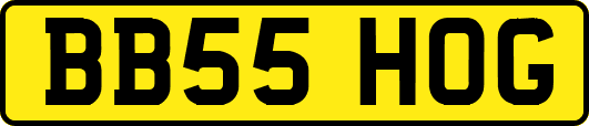BB55HOG