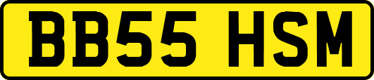 BB55HSM