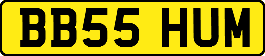 BB55HUM