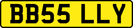 BB55LLY