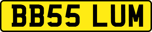 BB55LUM