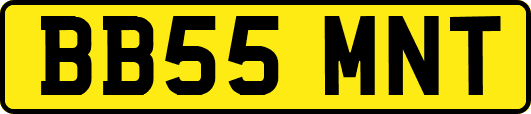 BB55MNT