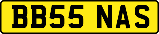 BB55NAS