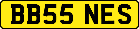 BB55NES