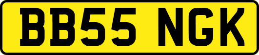 BB55NGK
