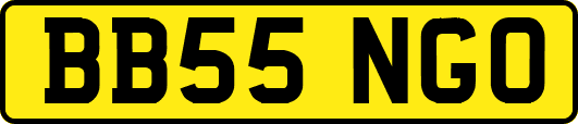 BB55NGO