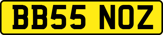 BB55NOZ