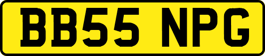 BB55NPG