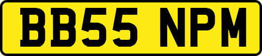 BB55NPM