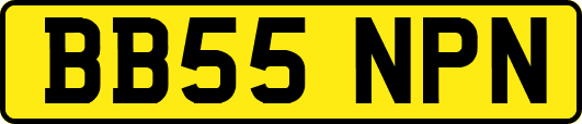 BB55NPN