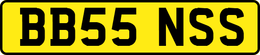 BB55NSS