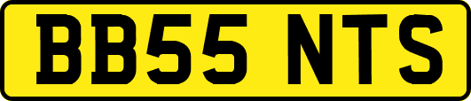 BB55NTS