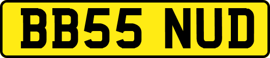 BB55NUD