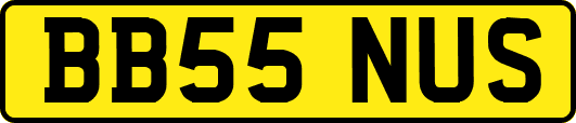 BB55NUS