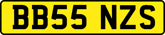 BB55NZS