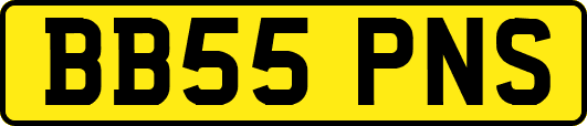 BB55PNS