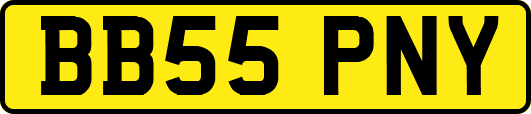BB55PNY