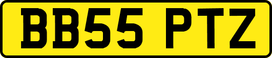 BB55PTZ