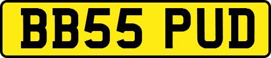 BB55PUD