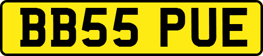 BB55PUE