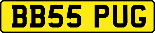 BB55PUG