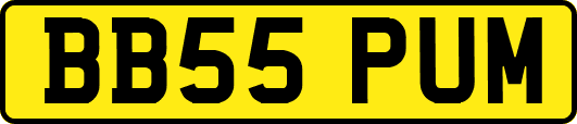 BB55PUM