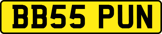 BB55PUN