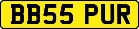 BB55PUR