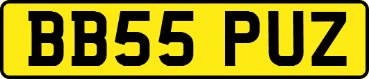 BB55PUZ